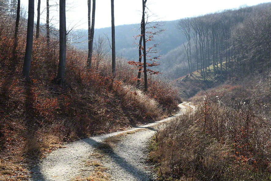 Höllgraben Wienerwald