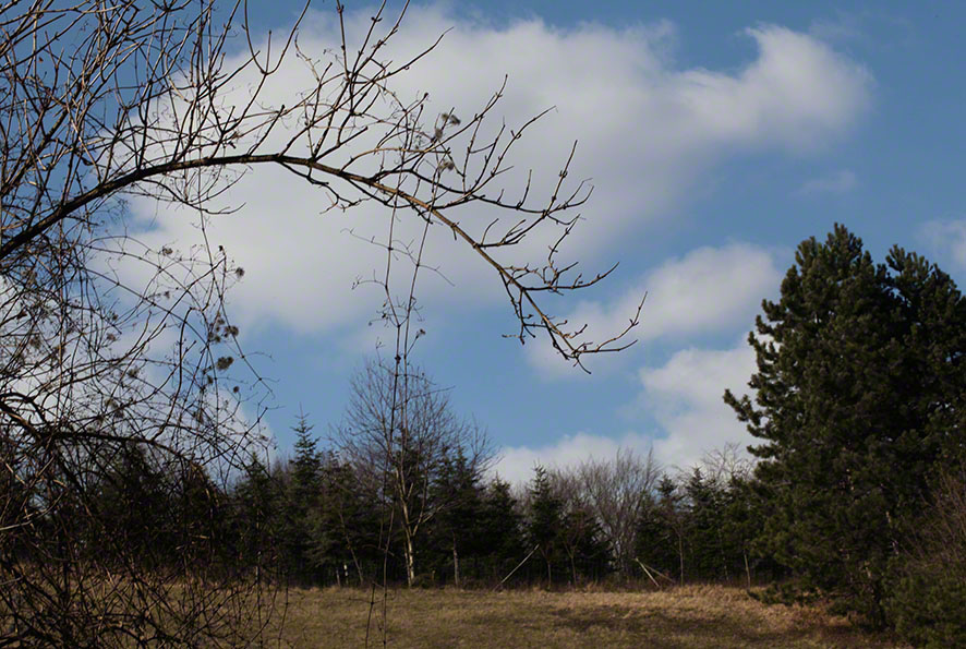 Höllgraben Wienerwald