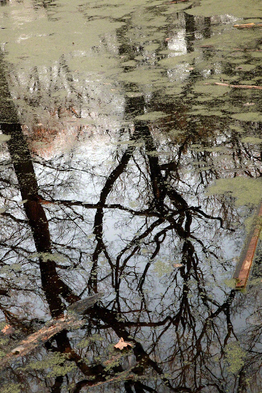 Wienerwald, Am Himmel, Weiher