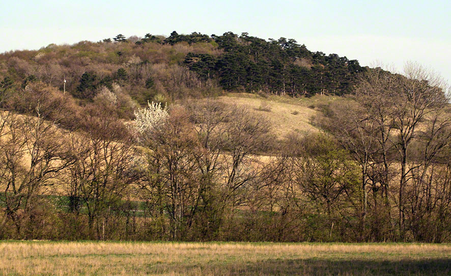 Wienerwald, Eichkogel