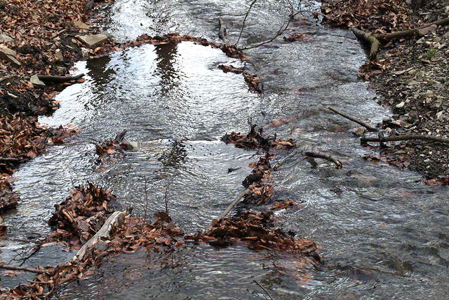 Wasserwellen