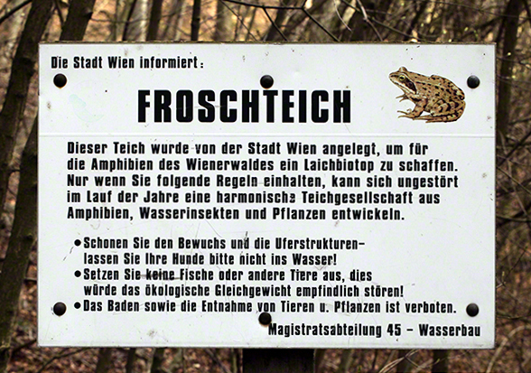 Froschteich