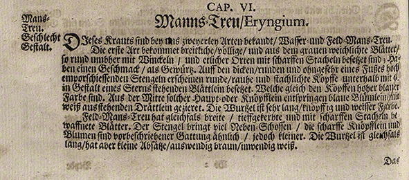 Nyland Kräuterbuch