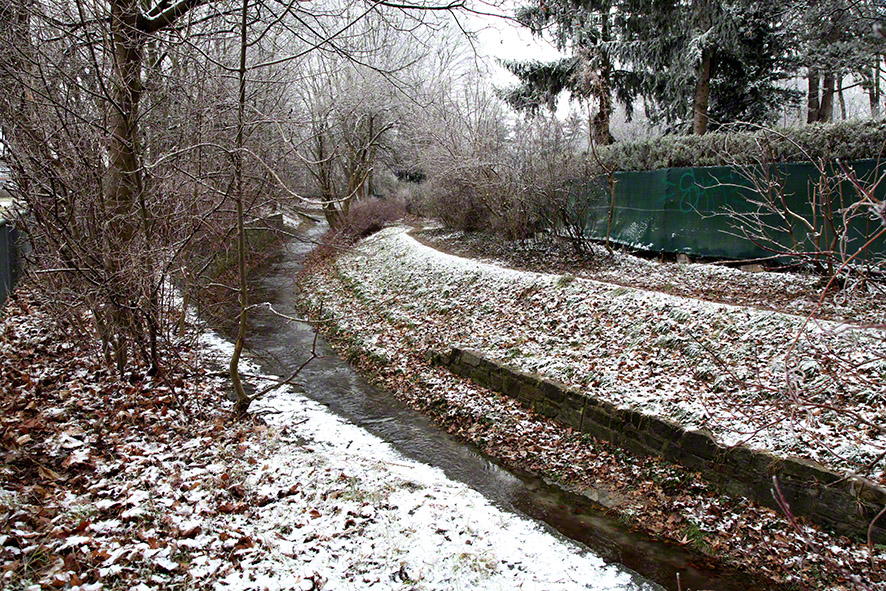 Die Liesing im Rauhreif