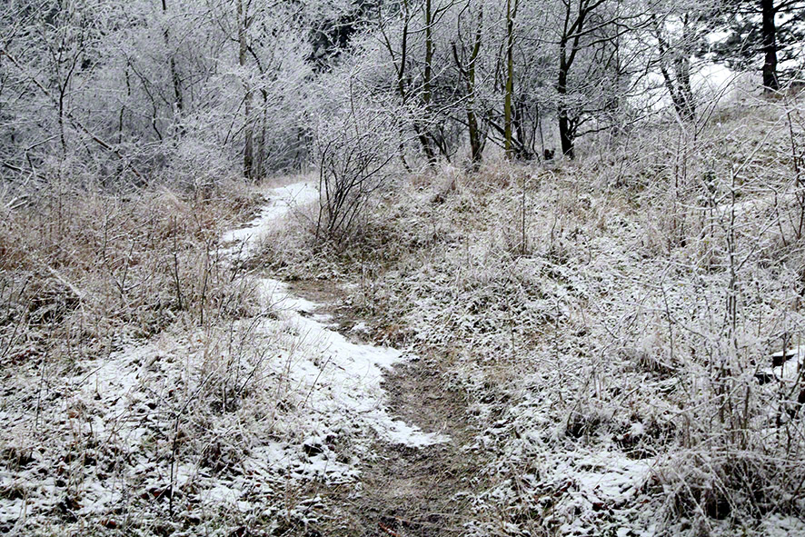 Perchtoldsdorfer Heide