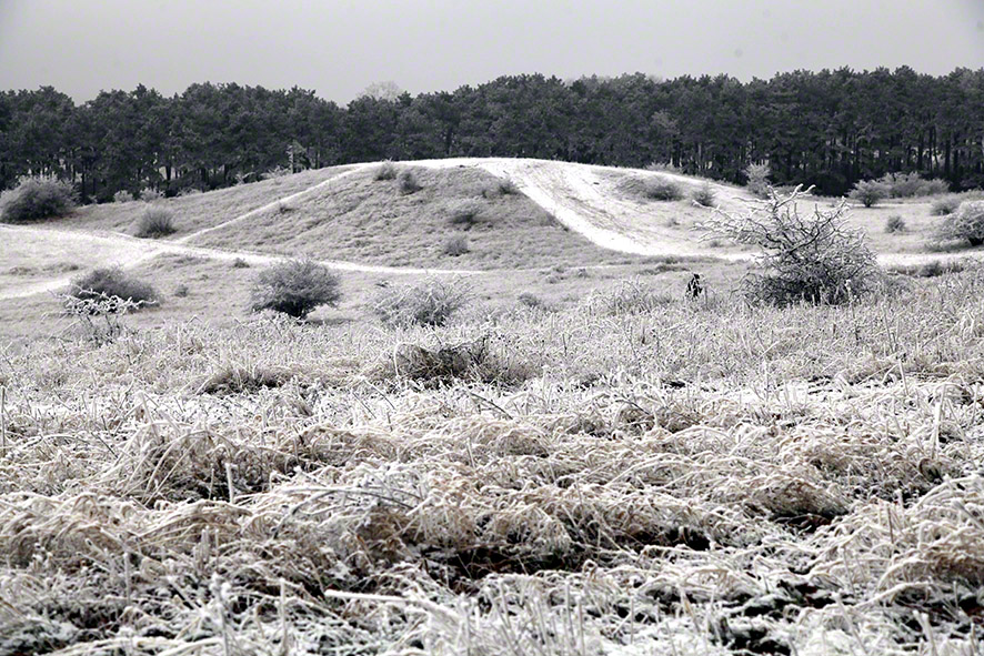 Perchtoldsdorfer Heide