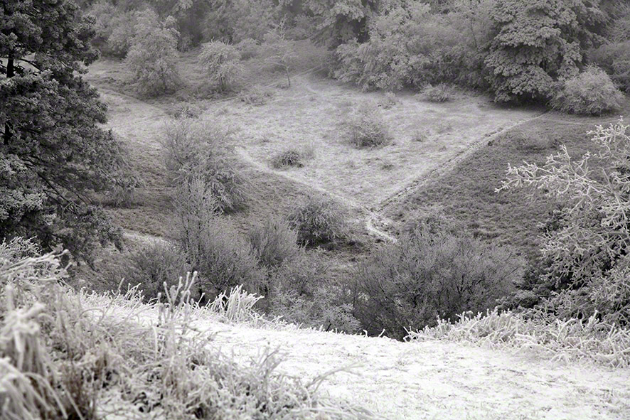 Perchtoldsdorfer Heide