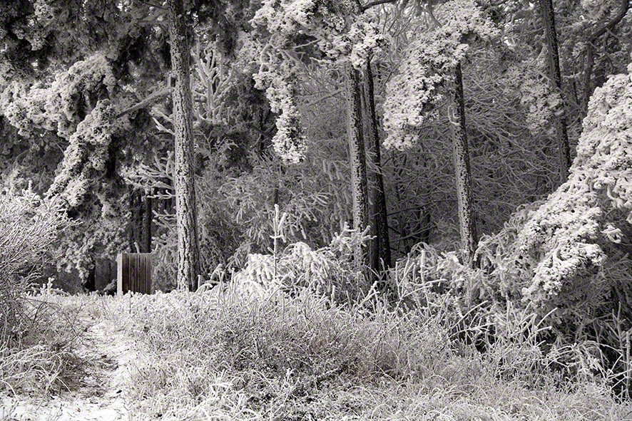 Perchtoldsdorfer Heide