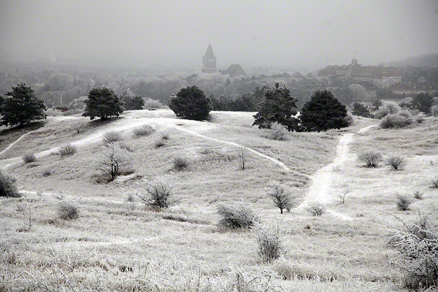 Perchtoldsdorfer Heide