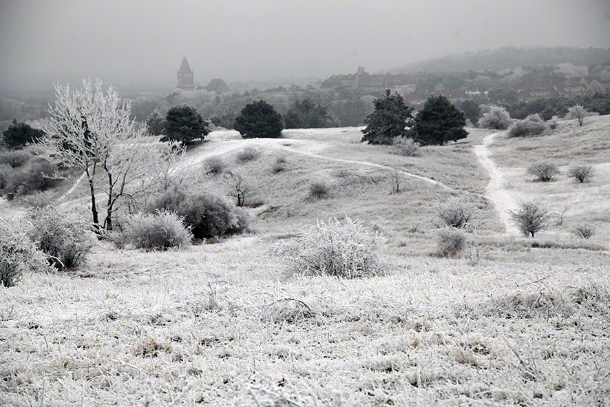 Perchtoldsdorfer Heide