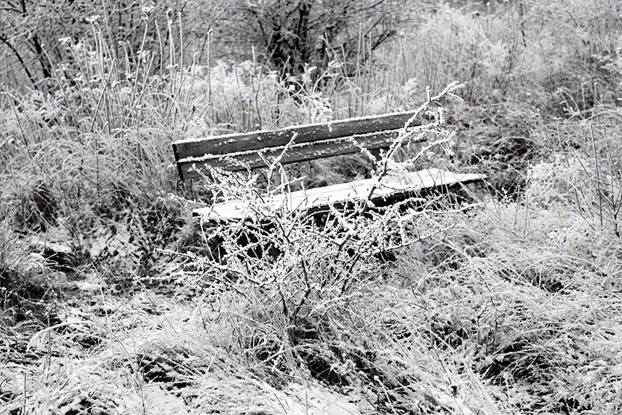 Perchtoldsdorfer Heide