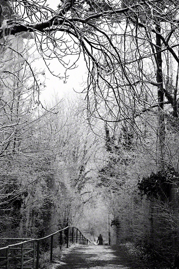 Perchtoldsdorfer Heide