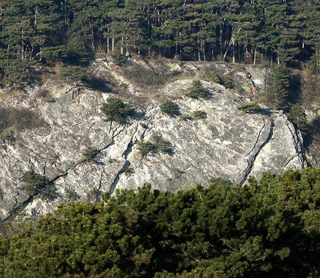 Blick auf Felswand