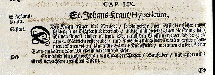 Nyland Kräuterbuch 1678