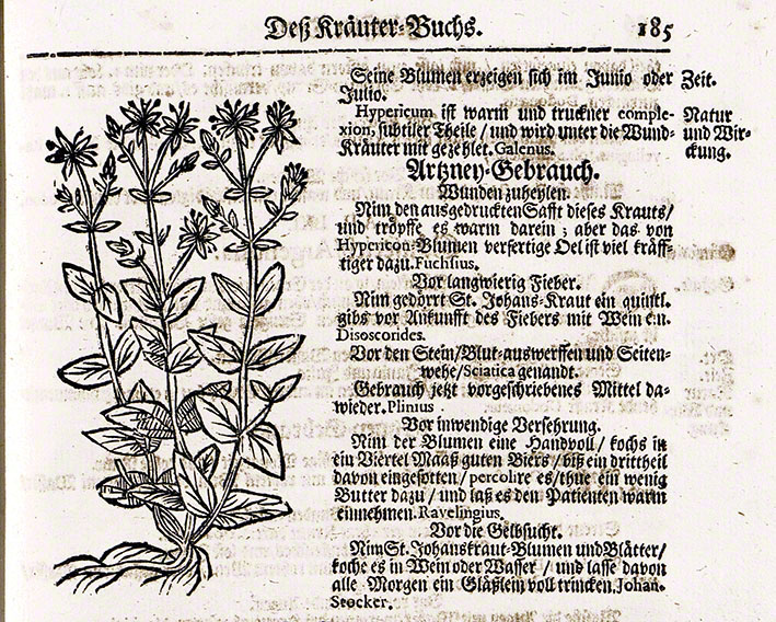 Nyland Kräuterbuch 1678