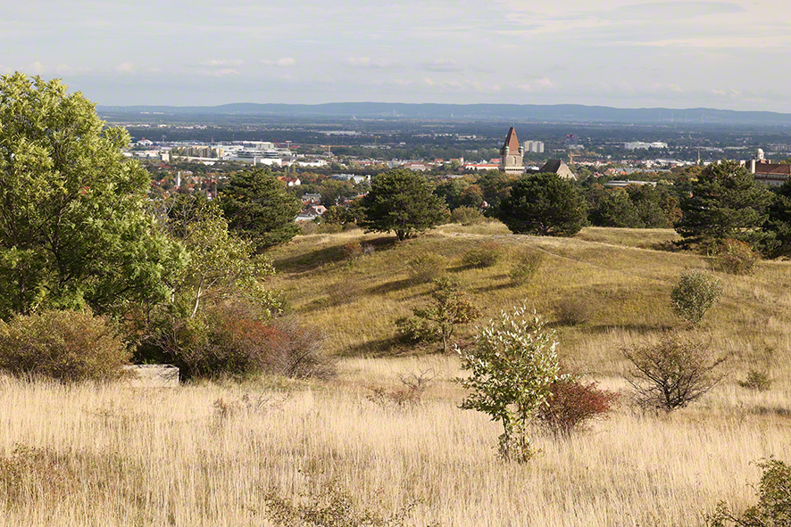 Perchtoldsdorfer Heide