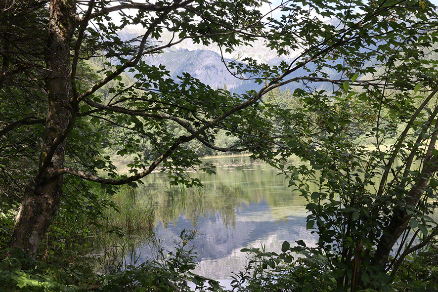 Dürrsee