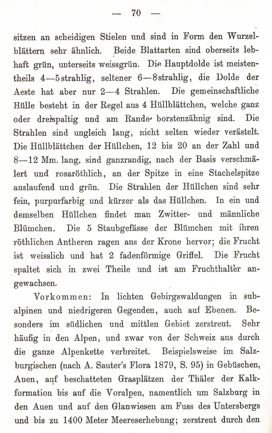 Sterndolde