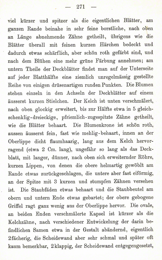 Ackerwachtelweizen