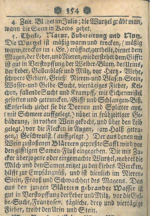 Mannstreu Kräuterbuch