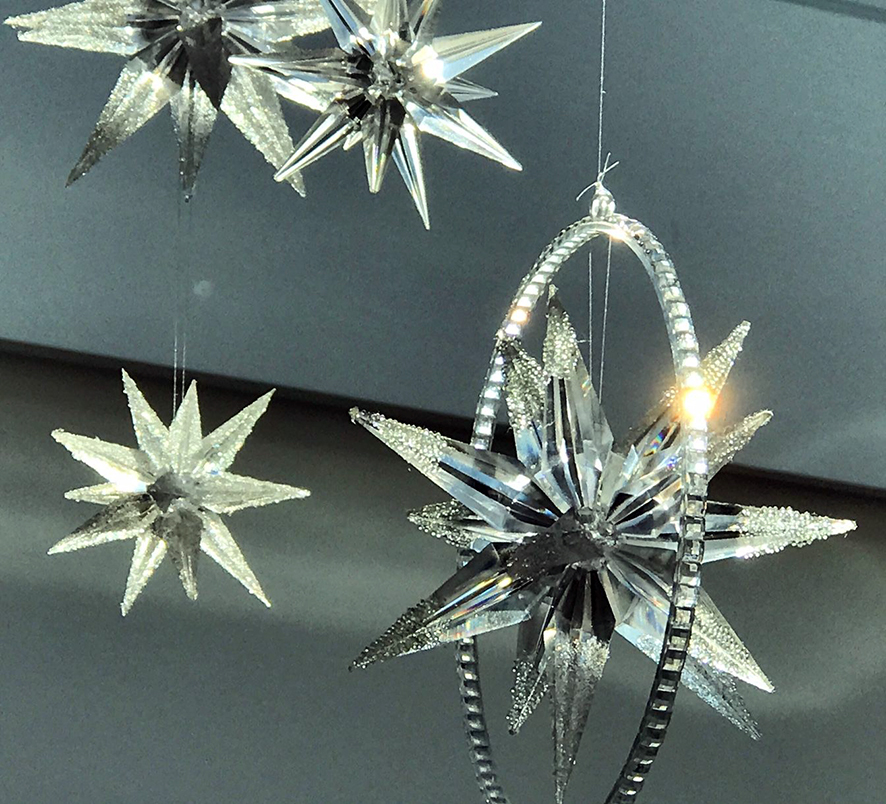 Mannstreu, Weihnachtssterne