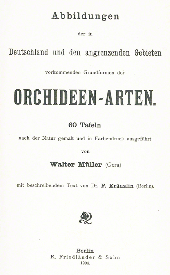 Brandknabenkraut