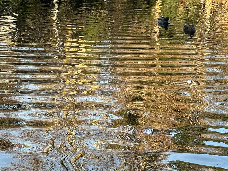 Spiegelung
