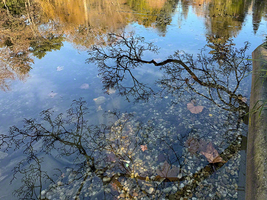 Spiegelung