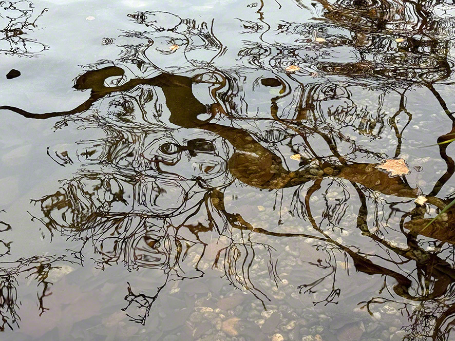 Spiegelung