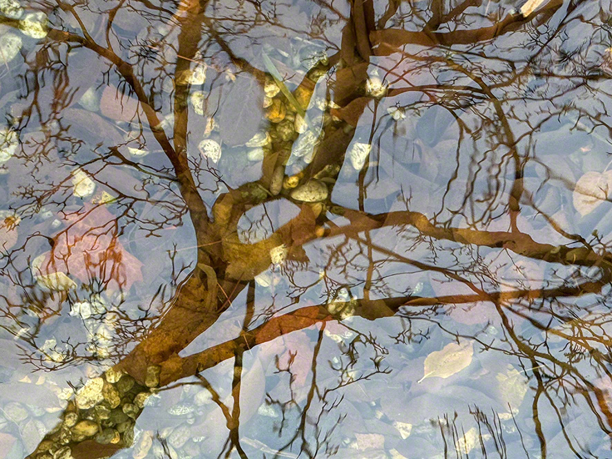 Spiegelung