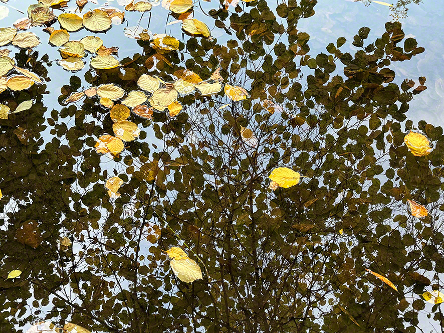 Spiegelung