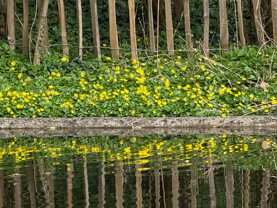 Spiegelung