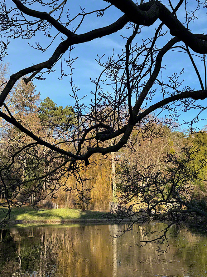 Spiegelung