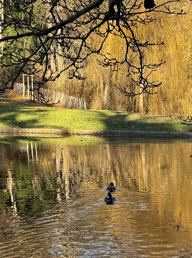 Spiegelung