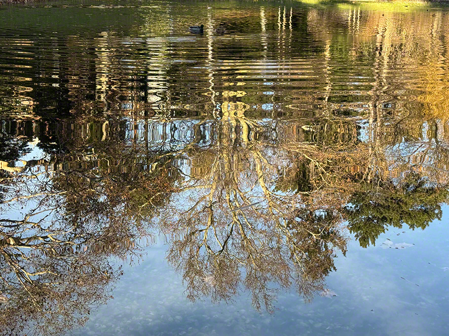 Spiegelung