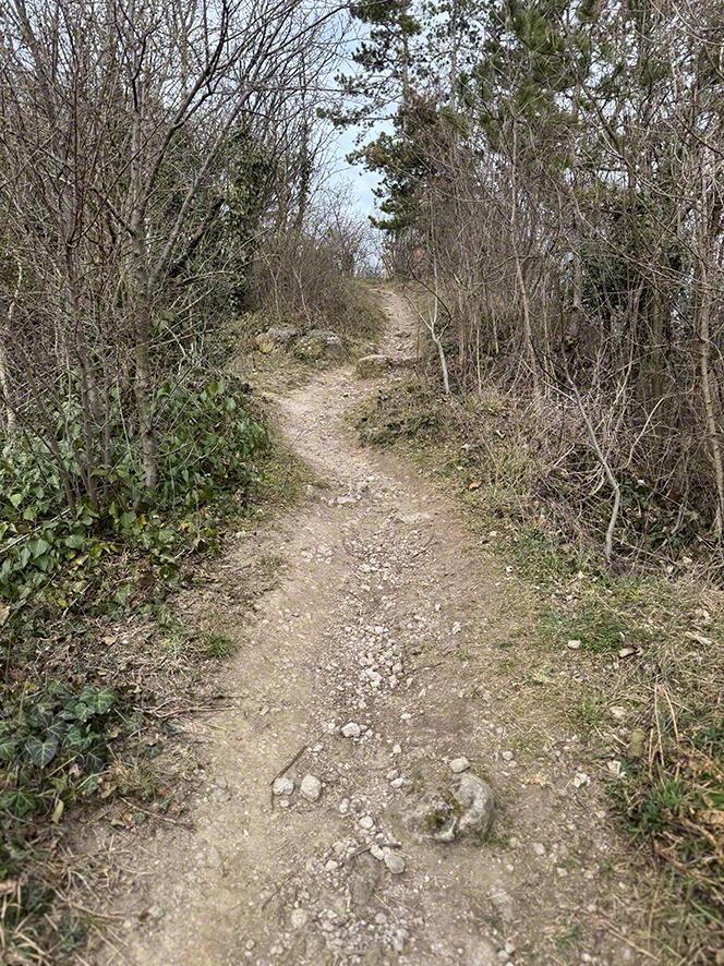 Perchtoldsdorfer Heide