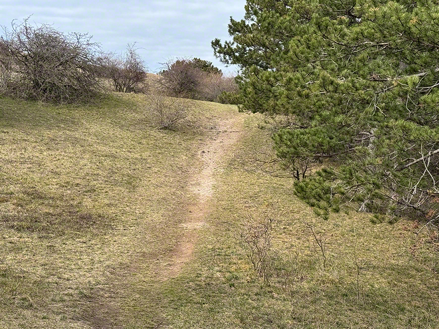 Perchtoldsdorfer Heide