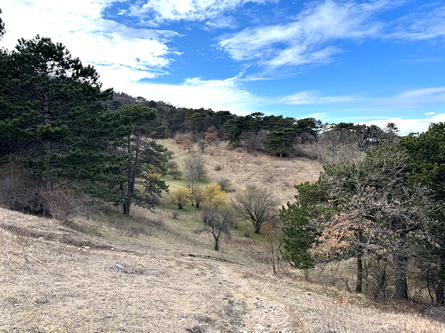 Perchtoldsdorfer Heide, Saugraben