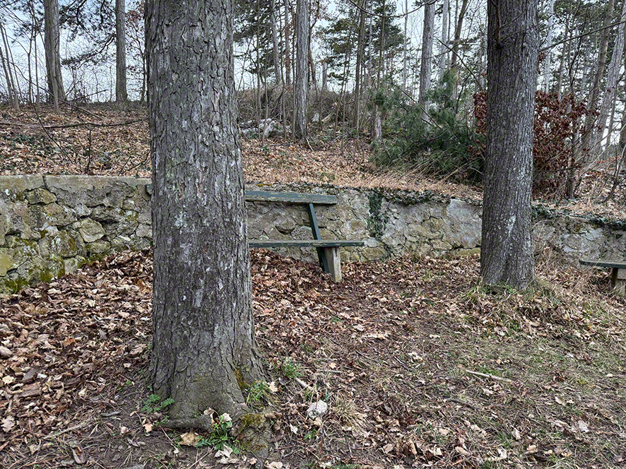 Perchtoldsdorfer Heide