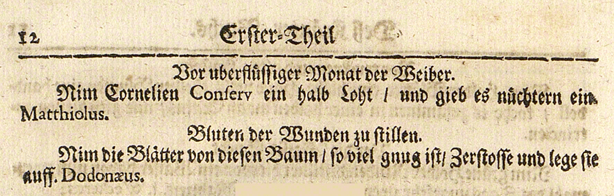 Kornelkirsche